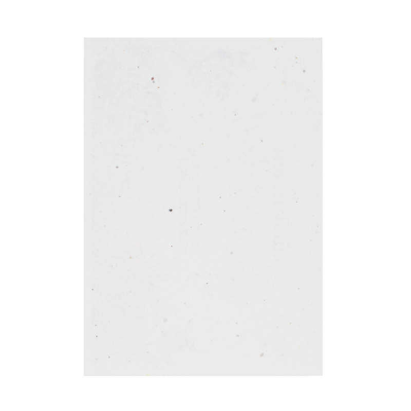 Unbedrucktes Samenpapier DIN A4 | 200 gr./m2 - Bild 2